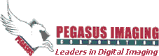 pegasus.png